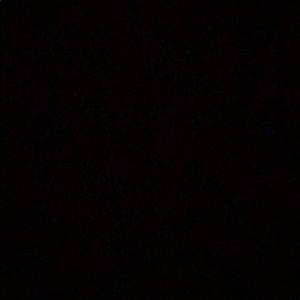 Meet your Posher, Jarrett